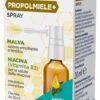 NEOBOROCILLINA PROPOLMIELE+ SPRAY MIELE EUCALIPTO 20 ML